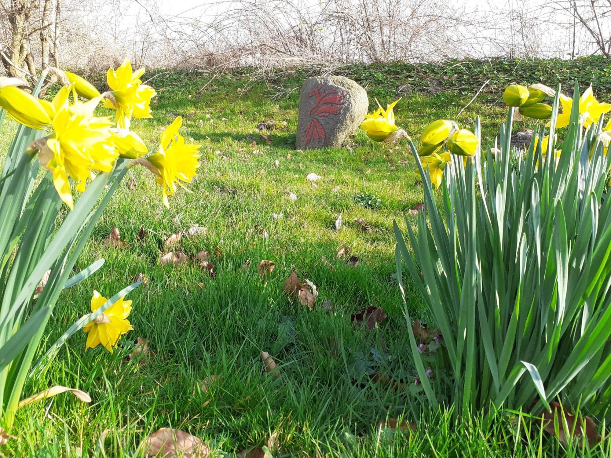 Seminarhof Back - Mit Yogaraum Und Grossem Garten Ellingstedt